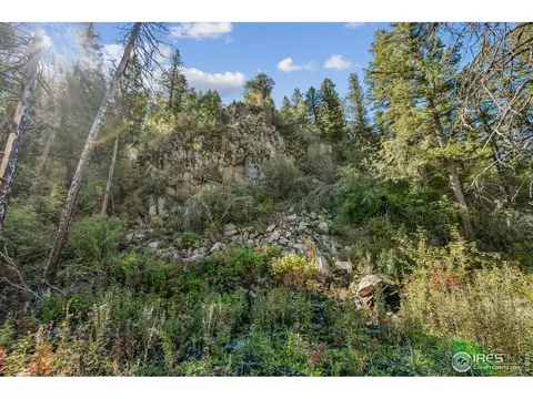 511 Riverside Dr, Lyons, CO 80540 photo 3