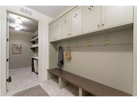 Other - 271 Cornelia Dr, Windsor, CO 80550 photo 4 of 9