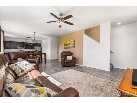 503 Buckrake St, Severance, CO 80550 photo 9