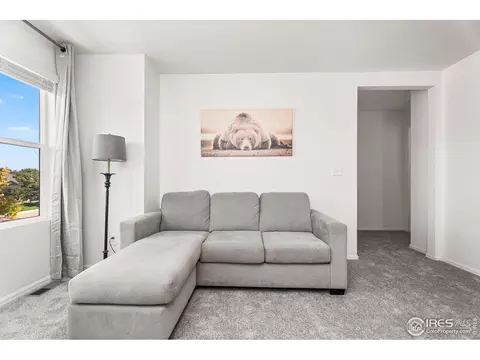 503 Buckrake St, Severance, CO 80550 photo 22