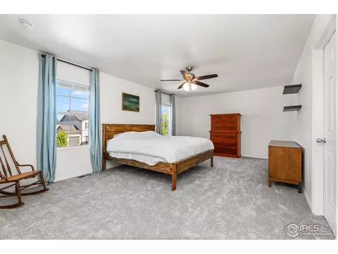 503 Buckrake St, Severance, CO 80550 photo 25
