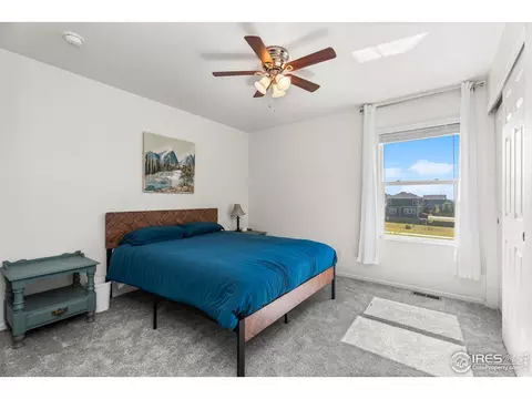 503 Buckrake St, Severance, CO 80550 photo 31