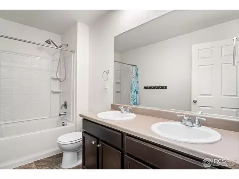 503 Buckrake St, Severance, CO 80550 photo 30
