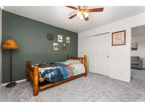 503 Buckrake St, Severance, CO 80550 photo 29