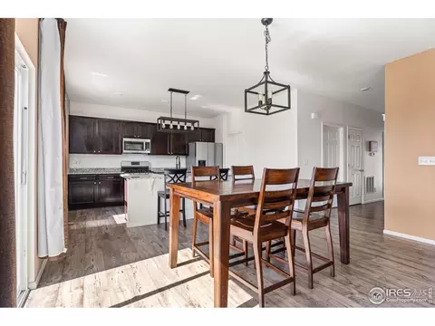 503 Buckrake St, Severance, CO 80550 photo 10