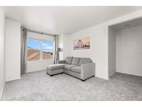 503 Buckrake St, Severance, CO 80550 photo 21