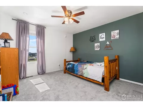 503 Buckrake St, Severance, CO 80550 photo 28