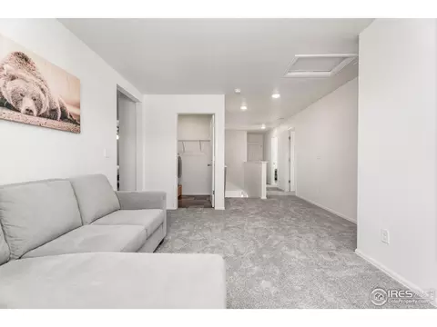 503 Buckrake St, Severance, CO 80550 photo 20