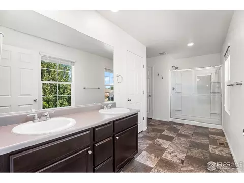 503 Buckrake St, Severance, CO 80550 photo 26