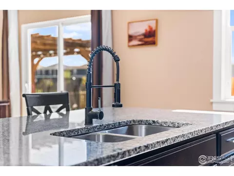 503 Buckrake St, Severance, CO 80550 photo 11