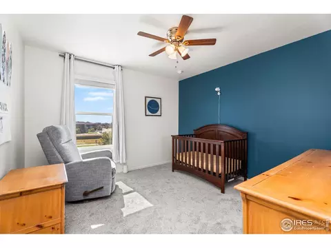 503 Buckrake St, Severance, CO 80550 photo 27