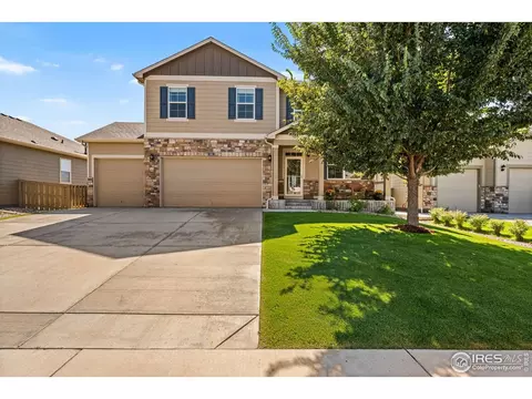 503 Buckrake St, Severance, CO 80550 photo 35
