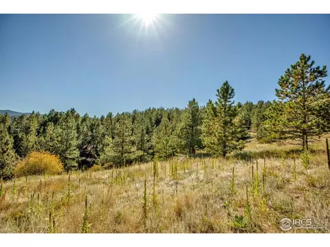 198 Puma Dr, Boulder, CO 80302 photo 4