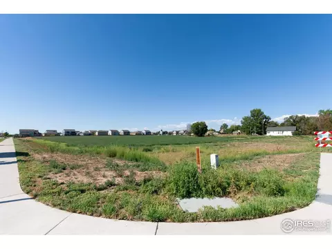 4 Th Ave, Severance, CO 80550 photo 7