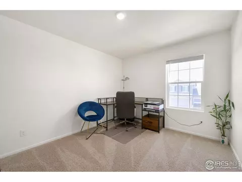 725 Camberly Dr, Windsor, CO 80550 photo 11