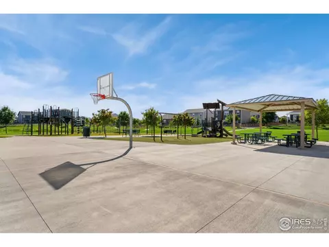 725 Camberly Dr, Windsor, CO 80550 photo 15