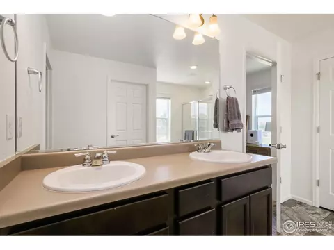 725 Camberly Dr, Windsor, CO 80550 photo 8