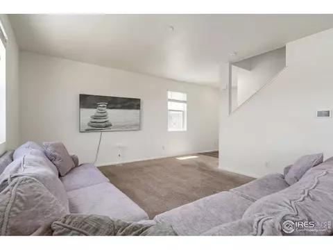 725 Camberly Dr, Windsor, CO 80550 photo 5