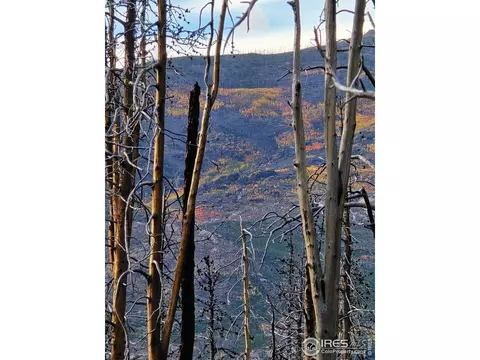 75 Sheep Horn Ct, Bellvue, CO 80512