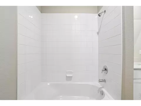 968 Cascade Falls St, Severance, CO 80550 photo 10