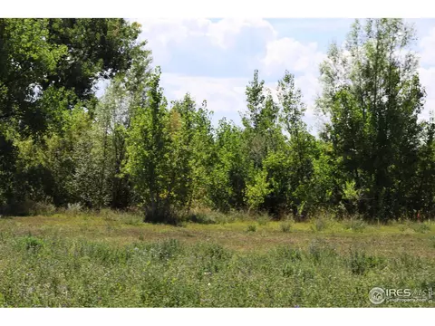 1796 Serene Pl, Berthoud, CO 80513 photo 11
