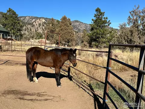 123 Mohawk Rd, Lyons, CO 80540