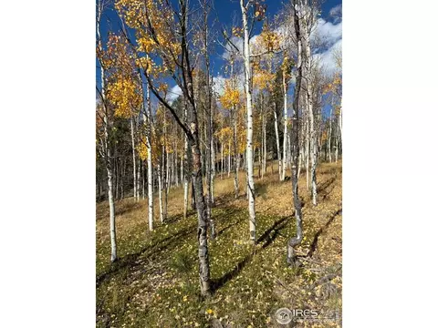 85 Remwood Cir, Divide, CO 80814 photo 2