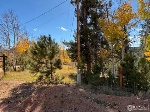 85 Remwood Cir, Divide, CO 80814 photo 7