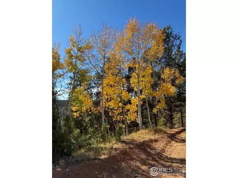 85 Remwood Cir, Divide, CO 80814