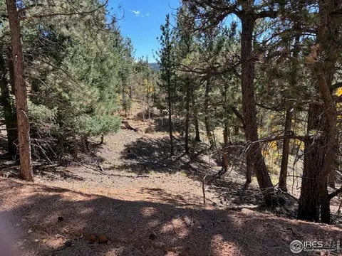 85 Remwood Cir, Divide, CO 80814 photo 8