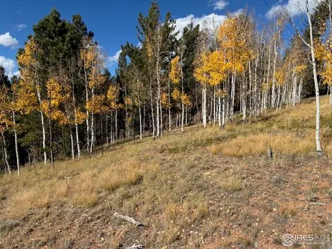 85 Remwood Cir, Divide, CO 80814 photo 6