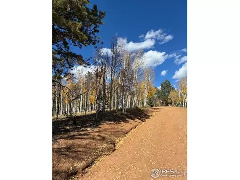 85 Remwood Cir, Divide, CO 80814 photo 5