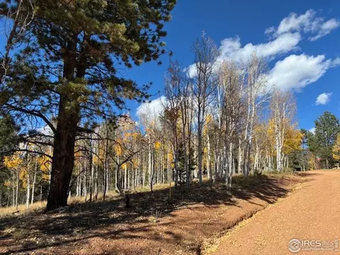 85 Remwood Cir, Divide, CO 80814 photo 3