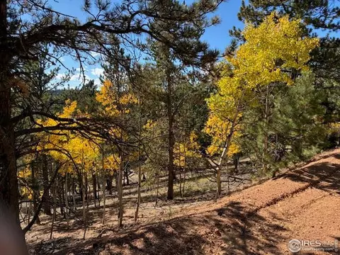 85 Remwood Cir, Divide, CO 80814 photo 4