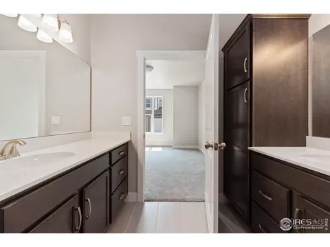 6793 Maple Leaf Dr #101, Timnath, CO 80547 photo 9