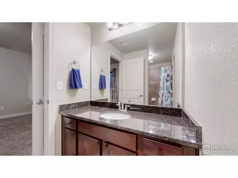 6074 Carmon Dr, Windsor, CO 80550 photo 32