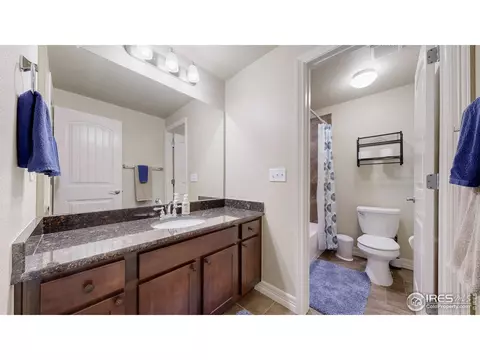 6074 Carmon Dr, Windsor, CO 80550 photo 36