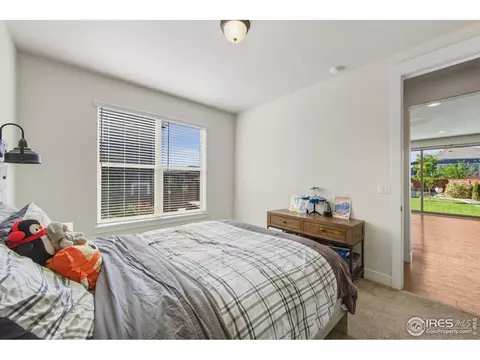 2100 Gather Ct, Windsor, CO 80550 photo 19
