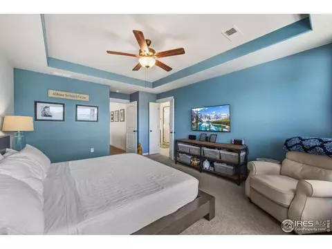 2100 Gather Ct, Windsor, CO 80550 photo 24