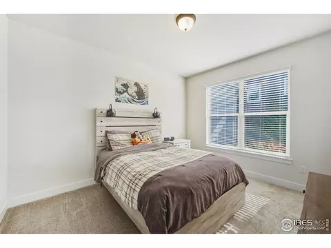 2100 Gather Ct, Windsor, CO 80550 photo 18