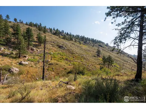 0 Pine Acres Way, Bellvue, CO 80512