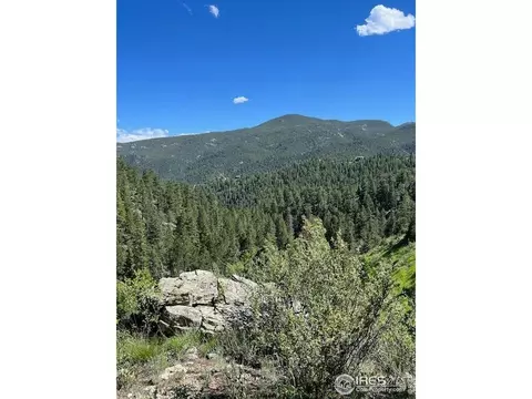 84 Copper Hill Rd, Glen Haven, CO 80532