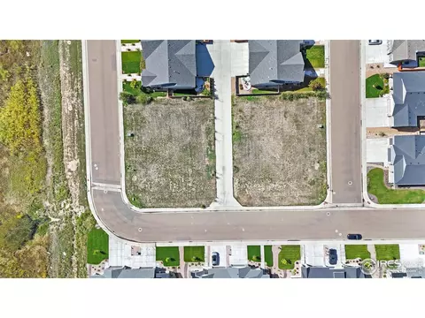 274 Veronica Dr, Windsor, CO 80550 photo 5