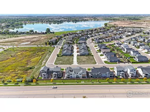 294 Veronica Dr, Windsor, CO 80550
