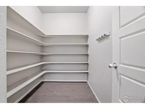 2178 Longfin Dr, Windsor, CO 80550 photo 5