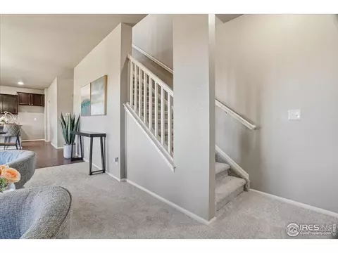 2178 Longfin Dr, Windsor, CO 80550 photo 16