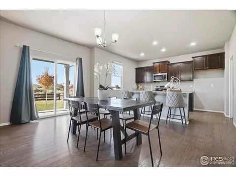 2178 Longfin Dr, Windsor, CO 80550 photo 6