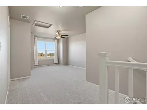 2178 Longfin Dr, Windsor, CO 80550 photo 18