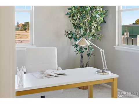 2178 Longfin Dr, Windsor, CO 80550 photo 2