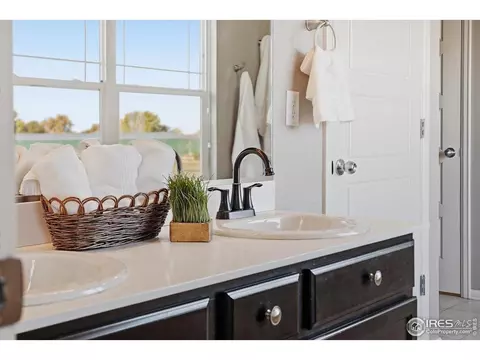 2178 Longfin Dr, Windsor, CO 80550 photo 25